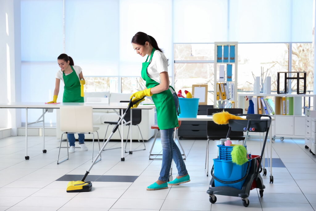 Professional house Cleaning Service in Dubai