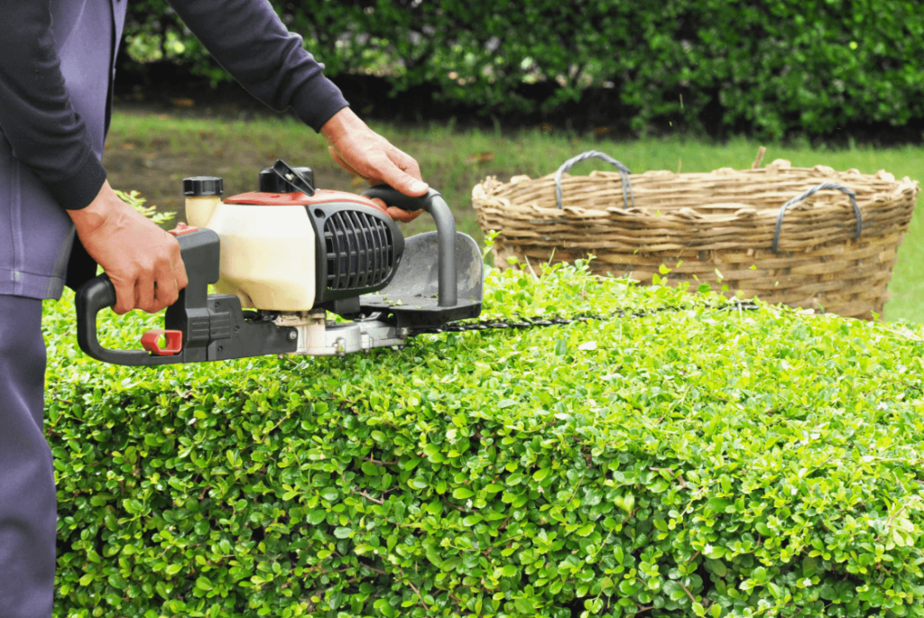 gardening services in Dubai